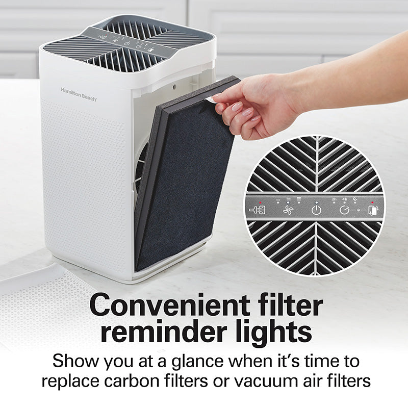 Air Purifier with TrueAir® EverLasting™ Reusable Filters