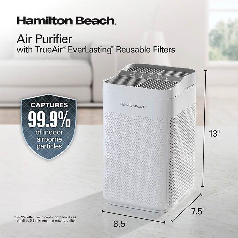 Air Purifier with TrueAir® EverLasting™ Reusable Filters