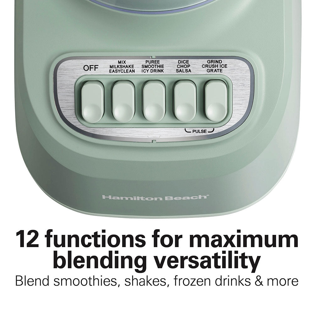 Smoothie Blender, Sage Green